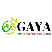 Les producteurs de Gaya